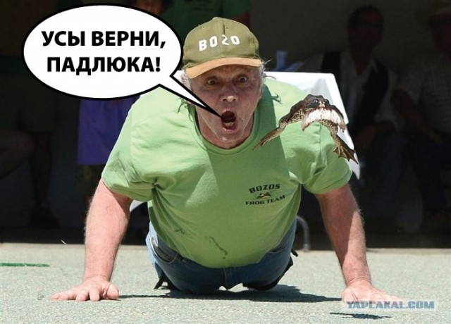 Фотожаба: Беги-и-и-и!