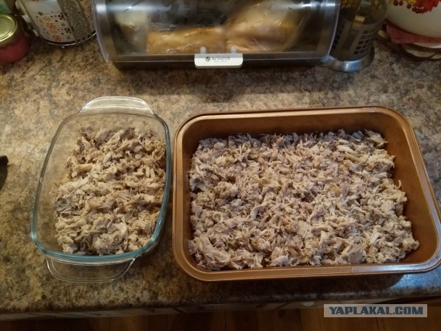 Нищебродам на заметку. Рваные курицы