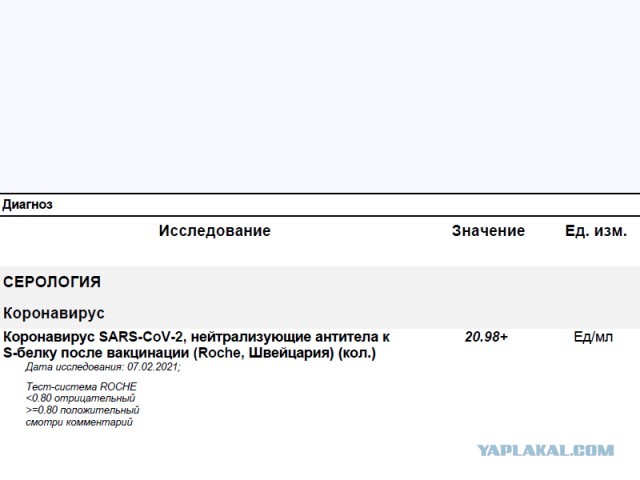 Пандемия. Коронавирус. Россия и мир. Последняя информация. Часть 20