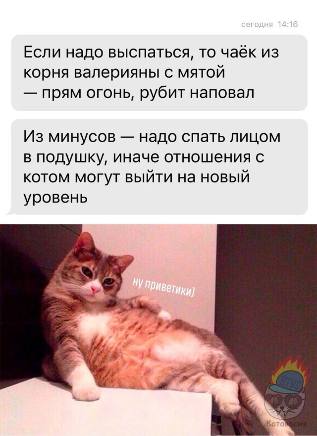 Пазл