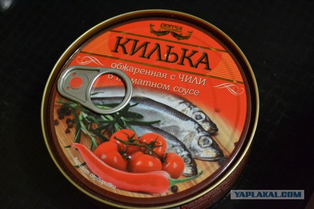 Килька: Селёдка, ставшая культовой в СССР. Её ловят по 600 тысяч тонн в год, а она не кончается. Как так?