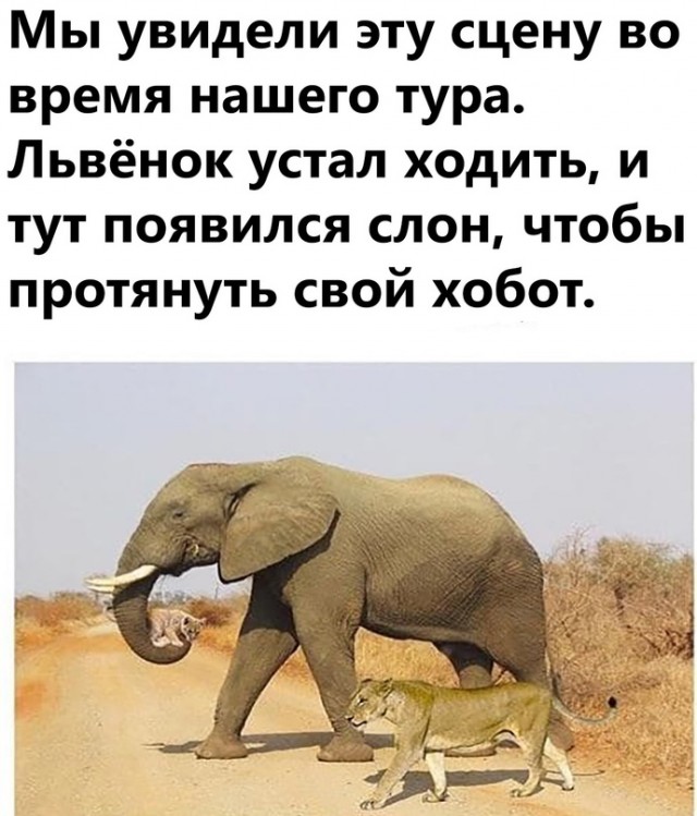Весёлый полтишок 26.04