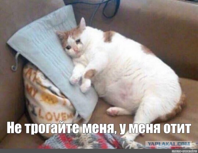 Картинки с надписями и всякие жизненные фразы 11.05.21