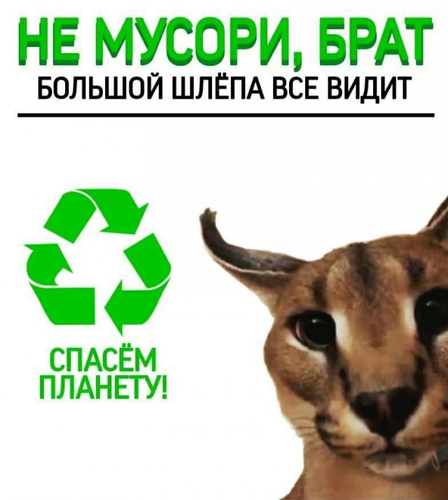 Это просто абсурд какой-то!