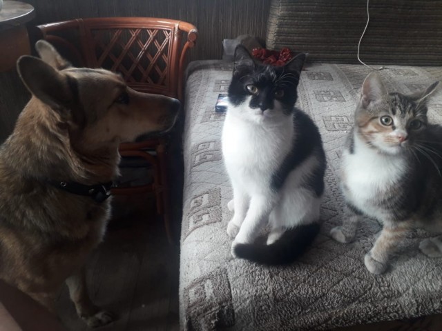 Подборка душевных фотографий, которые восполнят нехватку добра