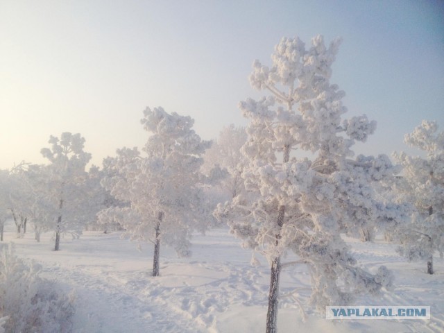 Живу в Красноярске