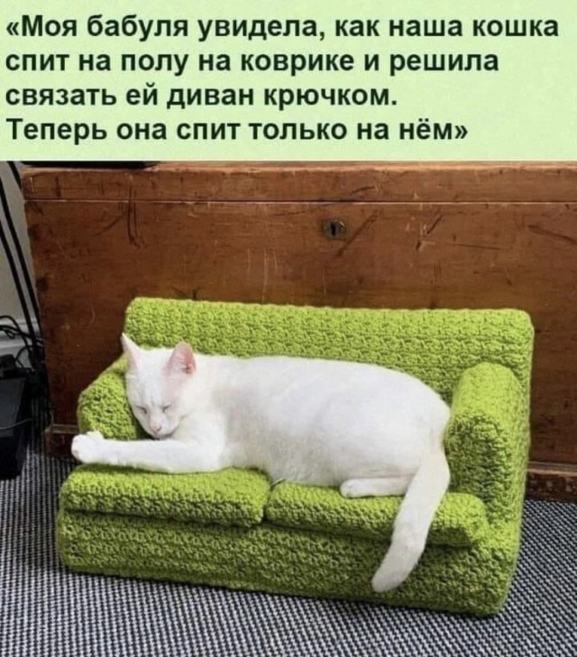 Картинки и мемы для настроения 18.10.2021