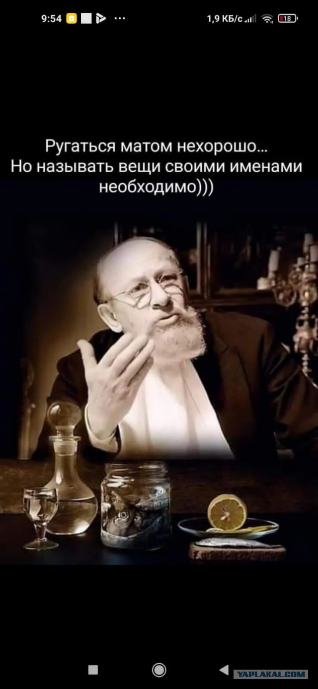 На Урале оштрафовали болеющую ковидом женщину, покормившую собаку во дворе своего дома