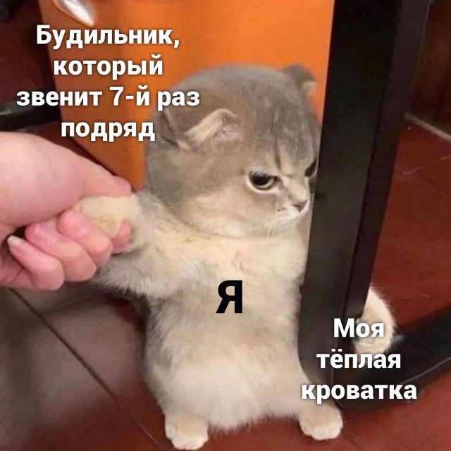Весёлый полтишок 31.12