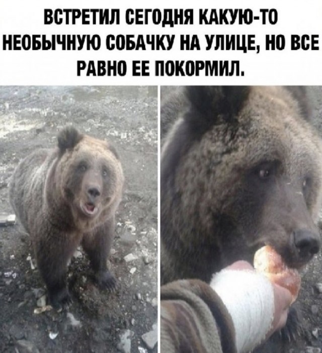 Картинки и мемы, начало праздников