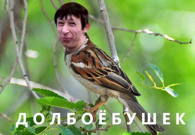 Классический триптих: За*бушек, Вы*бушек и Объ*бушек