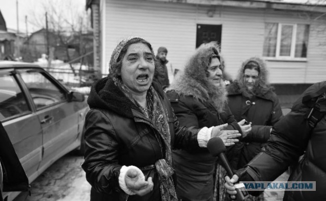 «Ирландские цыгане» пави — те самые, которых вы видели в «Большом куше»