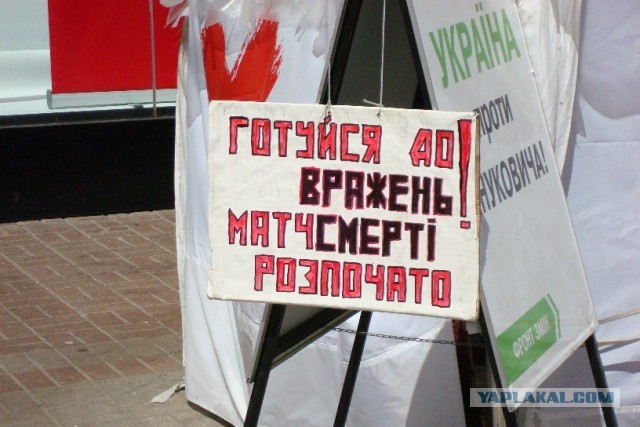 Пандемия съехавших крыш - разновидности болезни. Россия и мир. Часть 37