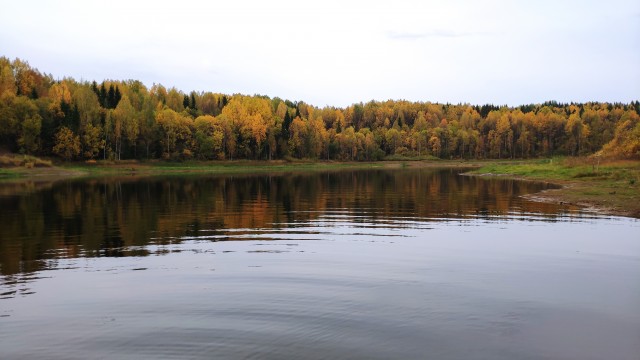 А может быть поделимся печальной красотой?