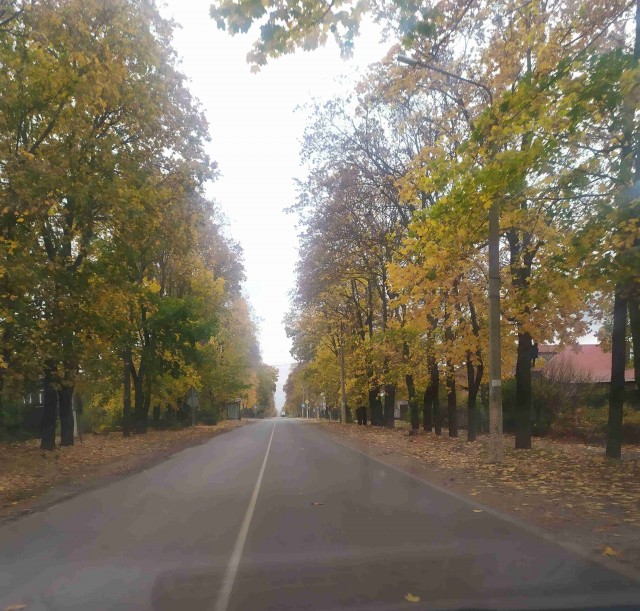 А может быть поделимся печальной красотой?