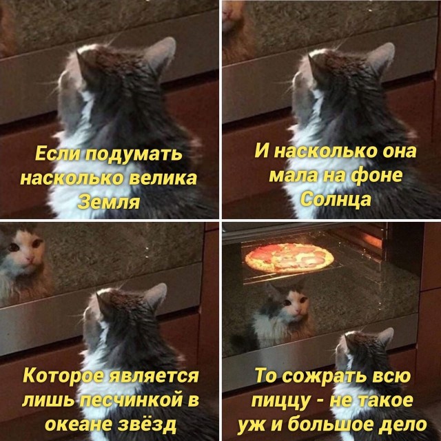 Весёлый полтишок 20.10.22