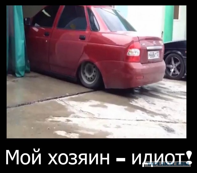 Радует глаз :)