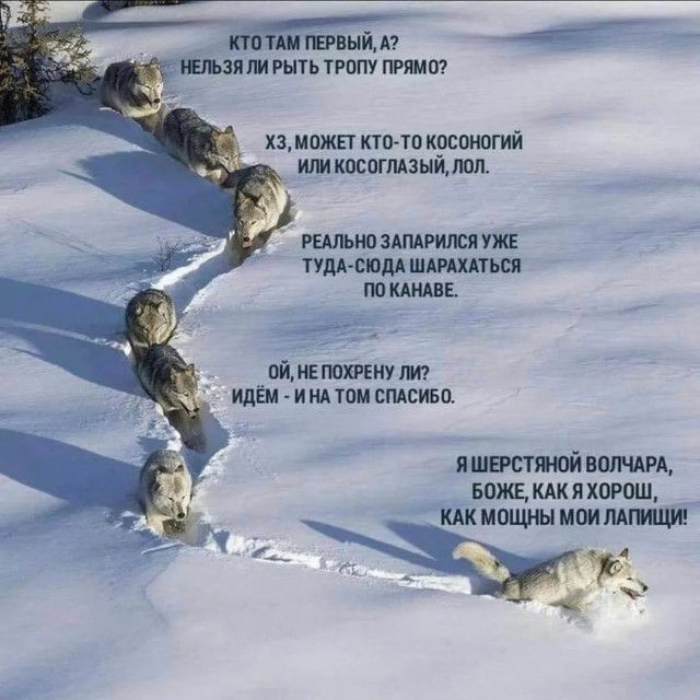 Попросили идиота о помощи