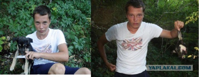 Ребенок издевается над собакой 2