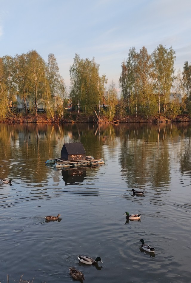 Осень золотая