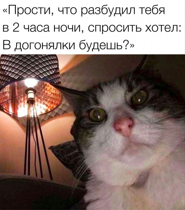 Так себе картинки 06.10.23