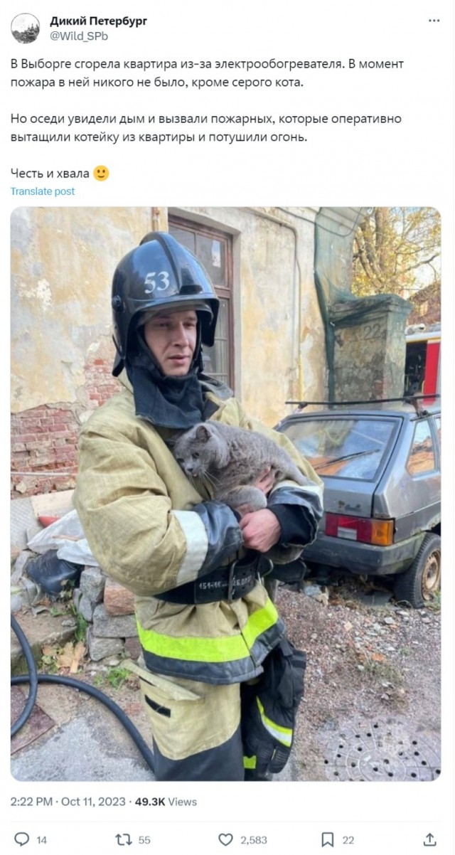 Хорошие новости