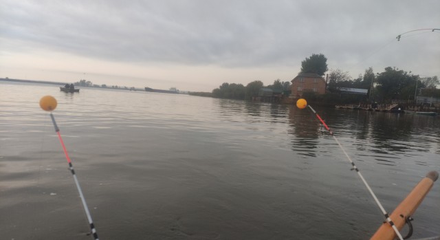 Рыбалка на Дону, осень 2023