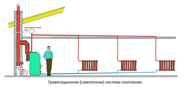 Выживальщики. Отделяем мух от котлет.