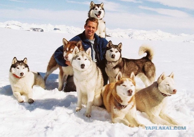 10 лет назад в автокатастрофе погиб Пол Уокер (Paul William Walker IV)