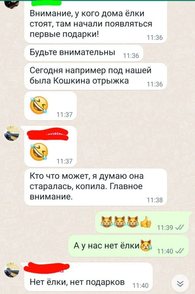 Украшаем всё и вся в последние дни декабря