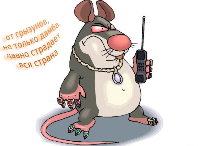 Так себе картинки 08.05.24
