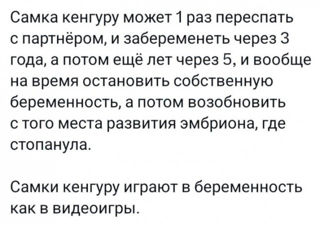 Всего понемногу. От 12.05.2024