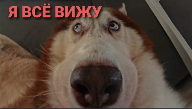 Когда вечером зашёл на ЯП