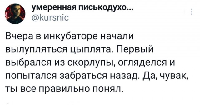 Завалялось тут случайно немного забавных картинок