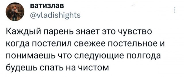 Немного забавных картинок от 2.10.2024