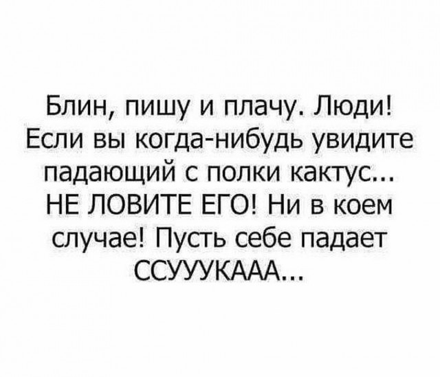 Веселые картинки к понедельнику (16.12)