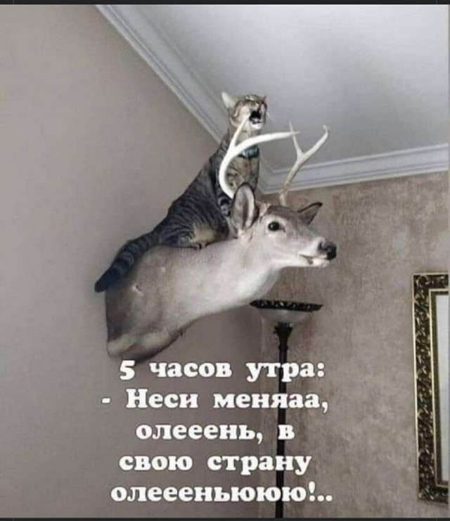 Так себе картинки 18.03.25