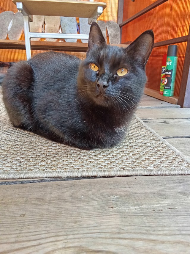 Август на носу.