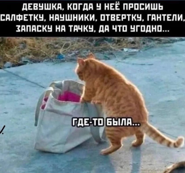 Так себе картинки 13.09.25