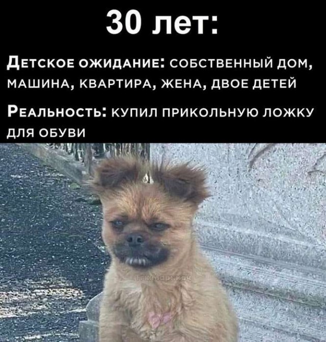 Картинки для деградации 132 (разной степени свежести)