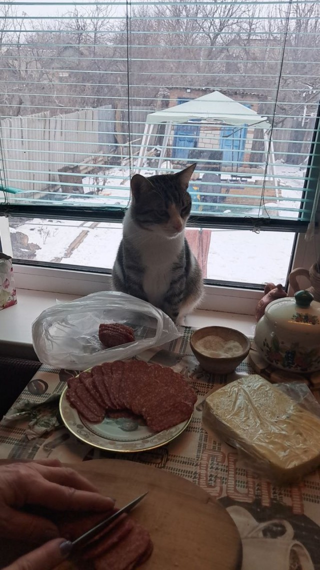 Всех причасных с праздником.