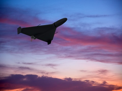 Уместно ли запускать Герани по прибалтийскому маршруту?