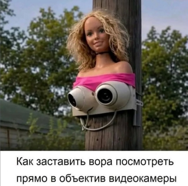 Подеградируем?!