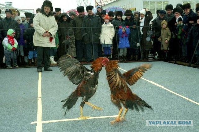 Интересные фотографии 1990 -х 31.05.26