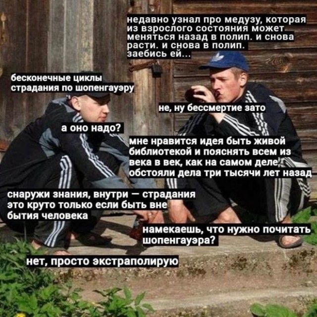 Картинки для деградации 234 (разной степени свежести)