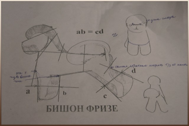 Стрижка бишона в домашних условиях. "До" и "После"