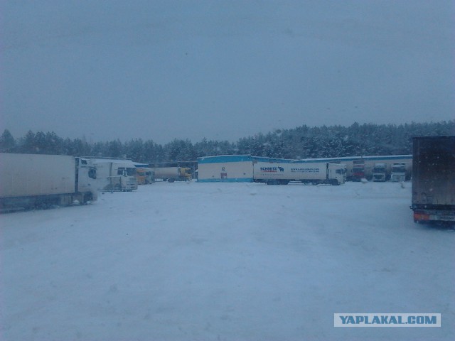 Где яблоки растут!