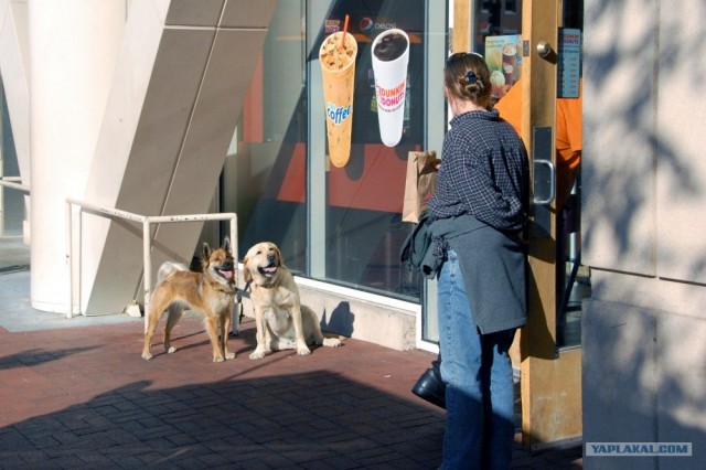 Шокирующие снимки из центра американской столицы