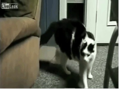 Анимированые картинки на субботу