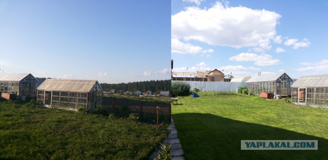 Газон мечты